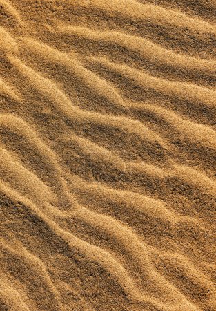 Foto de Cresta de viento de dunas de arena - Imagen libre de derechos