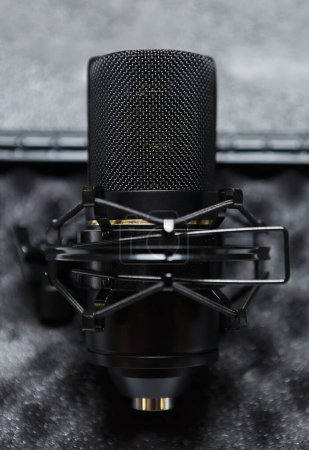 Professional condenser microphone for sound recording studio. Record voice in hi fi quality