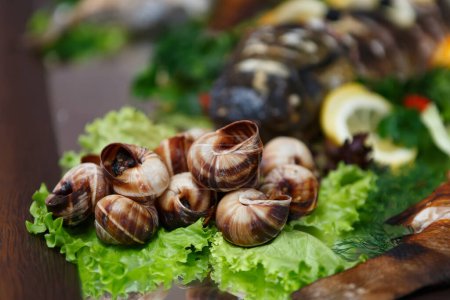 Téléchargez les photos : Escargots comestibles cuits et servis dans un restaurant de haute cuisine pour le dîner. Escargot exotique cuit pour la fête du vin - en image libre de droit