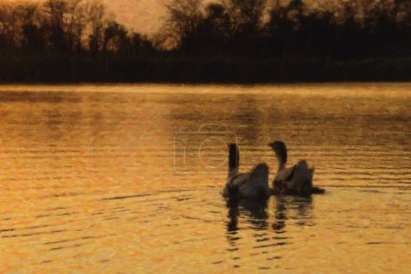 Foto de Dos patos y tres patitos nadan en un lago - Imagen libre de derechos