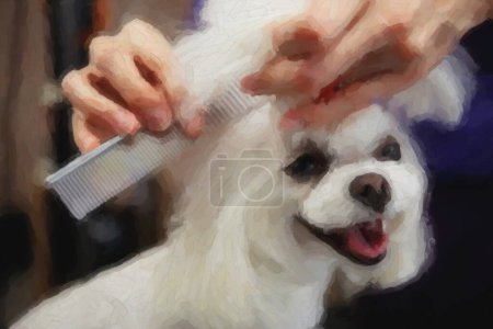 Photo for Portrait of cute white Maltese puppy being groomed in veterinarian clinic.Adortable toy dog in grooming salon.Happy pet posing on groomer table in close up - Royalty Free Image