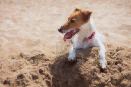 Téléchargez les photos : Petit chiot Jack Russell jouant sur la plage creusant du sable. Mignon petit chien domestique, bon ami pour une famille et les enfants. Race canine amicale et ludique - en image libre de droit