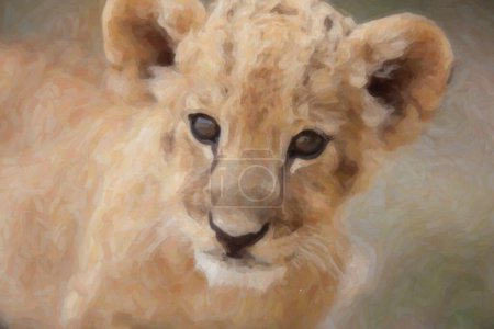 Téléchargez les photos : Tête de lion avec un fond blanc - en image libre de droit