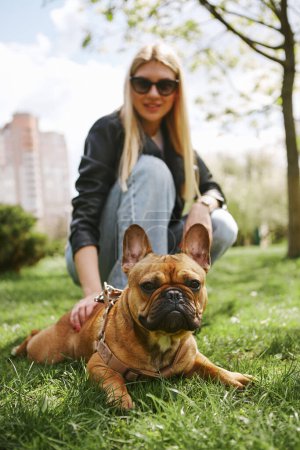 Photo for Beautiful blonde woman walking the dog in sunny spring park. Cute brown French bulldog lying on grass and looking in camera - Royalty Free Image