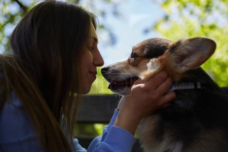 Téléchargez les photos : Femme amoureuse du chien jouant avec un chiot corgi. Joyeux jeune femme embrassant un chien de race Pembroke Welsh Corgi - en image libre de droit