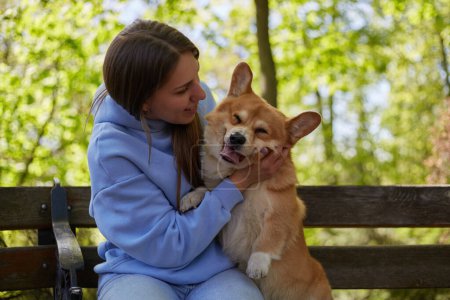 Photo for Owner cuddling a funny corgi dog in the green park. Cheerful young woman playing with brown Pembroke Welsh Corgi puppy outdoor - Royalty Free Image