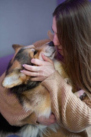 Téléchargez les photos : Amoureux des chiens câlins avec des corgi. Propriétaire jouer avec un chiot mignon Pembroke Welsh Corgi - en image libre de droit