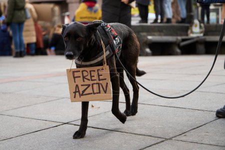 Photo for Dog walks with a sign "Free Azov" on her neck at a public demonstration. Kyiv - 4 February,2024 - Royalty Free Image