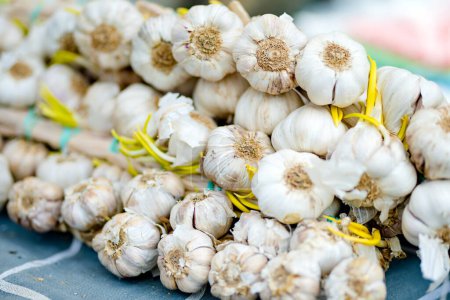 Photo for Fresh garlic sold in the farmers market in Vilnius, Lithuania - Royalty Free Image