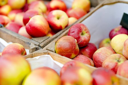 Téléchargez les photos : Pommes rouges et jaunes fraîches dans des caisses en bois vendues sur le marché alimentaire des agriculteurs lors de la foire annuelle du printemps à Vilnius, Lituanie - en image libre de droit