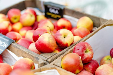 Téléchargez les photos : Pommes rouges et jaunes fraîches dans des caisses en bois vendues sur le marché alimentaire des agriculteurs lors de la foire annuelle du printemps à Vilnius, Lituanie - en image libre de droit