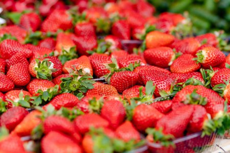 Foto de Fresh strawberries sold in the farmers market in Vilnius, Lithuania - Imagen libre de derechos