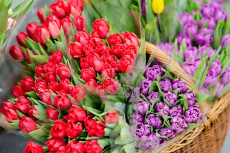 Téléchargez les photos : Beautiful colorful tulips sold in outdoor flower shop in Vilnius, Lithuania - en image libre de droit
