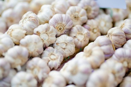 Téléchargez les photos : Fresh garlic sold in the farmers market in Vilnius, Lithuania - en image libre de droit