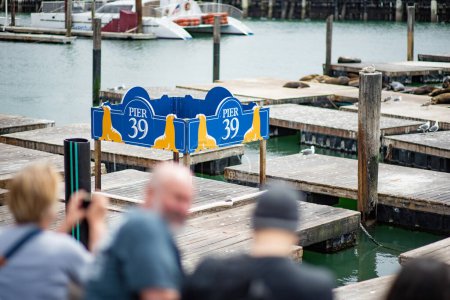 Photo for SAN FRANCISCO, USA - APRIL 2016: Tourists taking pictures of famous Pier 39 in San Francisco with sea lions resting on wooden platforms. San Francisco, USA. - Royalty Free Image