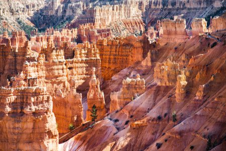 Téléchargez les photos : Scenic view of stunning red sandstone hoodoos in Bryce Canyon National Park in Utah, USA. Exploring the American Southwest. - en image libre de droit
