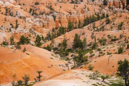 Photo for Scenic view of stunning red sandstone hoodoos in Bryce Canyon National Park in Utah, USA. Exploring the American Southwest. - Royalty Free Image