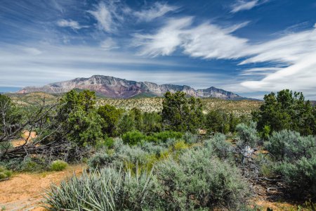 Foto de Dixie National Forest near Yant Flat sandstone formations in Utah, USA. Exploring the American Southwest. - Imagen libre de derechos
