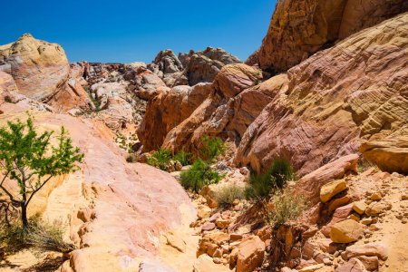 Téléchargez les photos : Amazing colors and shapes of sandstone formations in Valley of Fire State Park, Nevada, USA. Exploring the American Southwest. - en image libre de droit