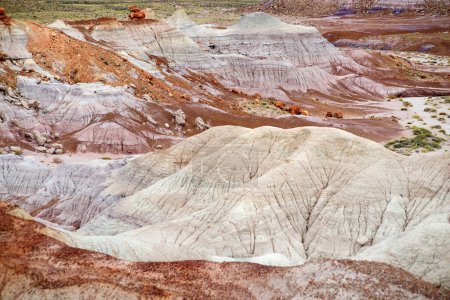 Téléchargez les photos : Striped purple sandstone formations of Blue Mesa badlands in Petrified Forest National Park, Arizona, USA. Exploring the American Southwest. - en image libre de droit