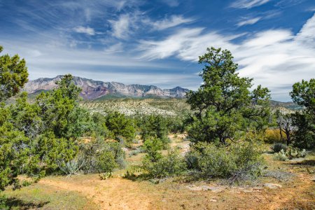 Photo for Dixie National Forest near Yant Flat sandstone formations in Utah, USA. Exploring the American Southwest. - Royalty Free Image