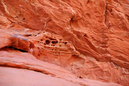 Téléchargez les photos : Amazing details of sandstone formations in Valley of Fire State Park, Nevada, USA. Exploring the American Southwest. - en image libre de droit