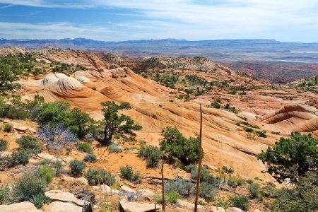 Foto de Scenic view of marvelous red and white sandstone formations of Yant Flat in Utah, USA. Exploring the American Southwest. - Imagen libre de derechos