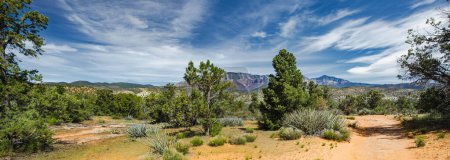 Photo for Dixie National Forest near Yant Flat sandstone formations in Utah, USA. Exploring the American Southwest. - Royalty Free Image