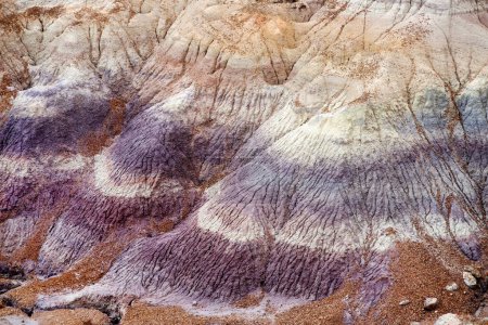 Foto de Striped purple sandstone formations of Blue Mesa badlands in Petrified Forest National Park, Arizona, USA. Exploring the American Southwest. - Imagen libre de derechos