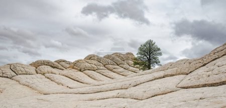 Foto de Amazing shapes and colors of moonlike sandstone formations in White Pocket, Arizona, USA. Exploring the American Southwest. - Imagen libre de derechos