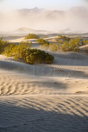 Téléchargez les photos : Mesquite Flat Sand Dunes during sand storm, Death Valley National Park, California, USA. Exploring the American Southwest. - en image libre de droit