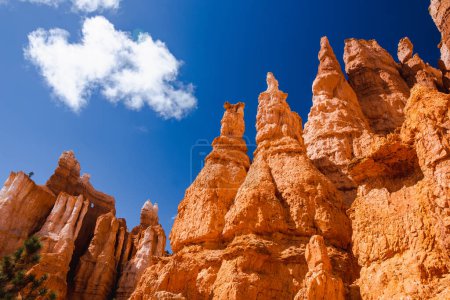 Photo for Scenic view of stunning red sandstone hoodoos in Bryce Canyon National Park in Utah, USA. Exploring the American Southwest. - Royalty Free Image