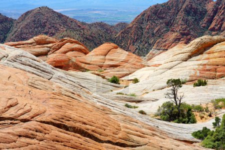 Scenic view of marvelous red and white sandstone formations of Yant Flat in Utah, USA. Exploring the American Southwest.