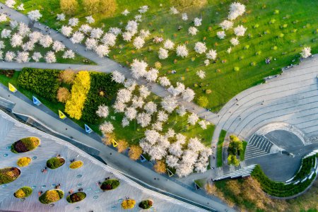 Téléchargez les photos : VILNIUS, LITUANIE - AVRIL 2022 : Belle vue aérienne du parc sakura en fleurs dans le centre-ville de Vilnius. Jardin de cerisiers Sugihara fleurissant le matin ensoleillé d'avril. Printemps à Vilnius, Lituanie. - en image libre de droit