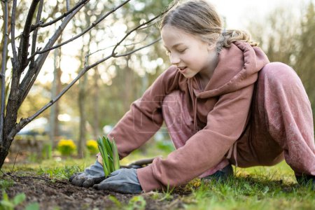 Foto de Chica bastante preadolescente plantando flores de jacinto en el día de primavera. Niño ayudando con las tareas de primavera. Niño explorando la naturaleza. - Imagen libre de derechos