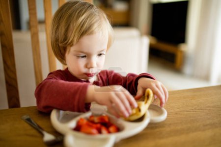 Photo for Cute little toddler boy eating pancakes and strawberries at home. Fresh organic frutis for infants. Healthy nutrition for family with kids. - Royalty Free Image