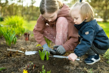 Téléchargez les photos : Grande sœur et son petit frère plantant des fleurs de jacinthe le jour du printemps. Les enfants aident avec les corvées printanières. Enfants explorant la nature. - en image libre de droit