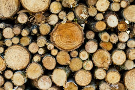 Photo for Background of dry chopped firewood logs stacked up on top of each other in a pile - Royalty Free Image