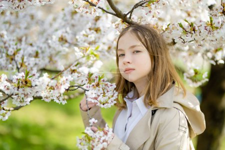 Foto de Adorable chica joven en el jardín de cerezo en flor en el hermoso día de primavera. Lindo niño recogiendo flores frescas de cerezo en primavera. Niño explorando la naturaleza
. - Imagen libre de derechos