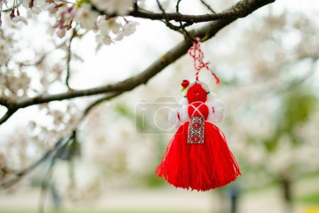 Foto de Martenitsa búlgara atada a una rama de cerezo. Símbolo de la tradición nacional búlgara. Cerezo floreciente en el día soleado de marzo. - Imagen libre de derechos