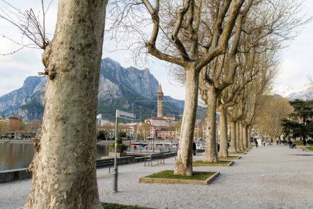 Photo for Leafless plane trees on the streets of Lecco town on early spring day. Picturesque waterfront of Lecco located between famous Lake Como and Bergamo Alp mountains. Vacation destination in Italy. - Royalty Free Image