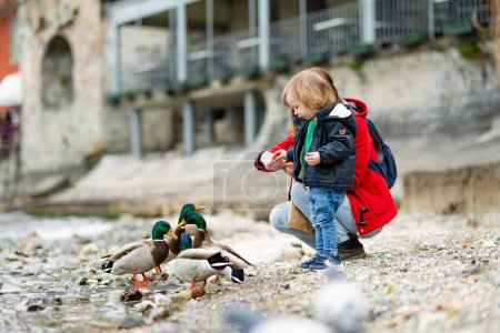 Téléchargez les photos : Mère et son fils nourrissent les canards à Varenna, l'une des villes les plus pittoresques sur la rive du lac de Côme. Emplacement charmant avec atmosphère typiquement italienne. Varenna, Lombardie, Italie. - en image libre de droit