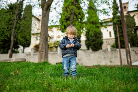 Téléchargez les photos : Petit garçon mignon jouant dans l'herbe à Bergame. Petit enfant s'amusant à explorer à Citta Alta, quartier supérieur de Bergame. Bergame, Lombardie, Italie. - en image libre de droit