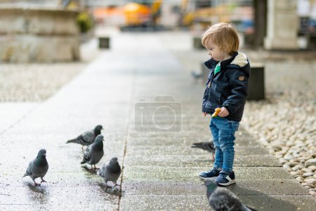 Téléchargez les photos : Petit garçon mignon nourrissant des pigeons dans la rue étroite de Bergame. Petit enfant s'amusant à explorer à Citta Alta, quartier supérieur de Bergame. Bergame, Lombardie, Italie. - en image libre de droit