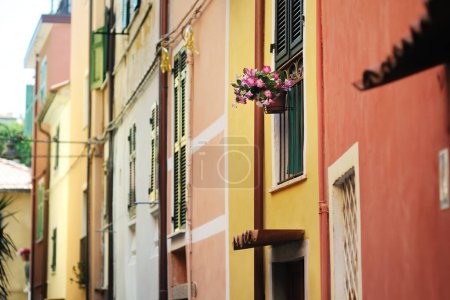 Foto de Flores en la calle de Manarola, uno de los cinco pueblos centenarios de Cinque Terre, situado en la escarpada costa noroeste de la Riviera italiana, Liguria, Italia. - Imagen libre de derechos