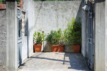 Téléchargez les photos : Beaux pots de fleurs sur la rue de Manarola, niché au milieu des cinq villages centenaires de Cinque Terre, situé sur la côte nord-ouest accidentée de la Riviera italienne, Ligurie, Italie. - en image libre de droit
