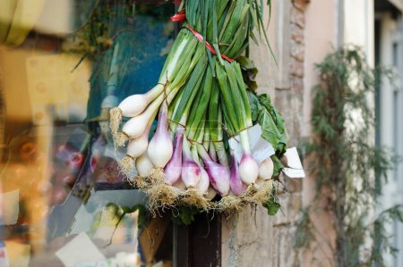 Photo for A bunch of healthy fresh onions on Pitigliano farmer agricultural market. Pitigliano, Italy. - Royalty Free Image