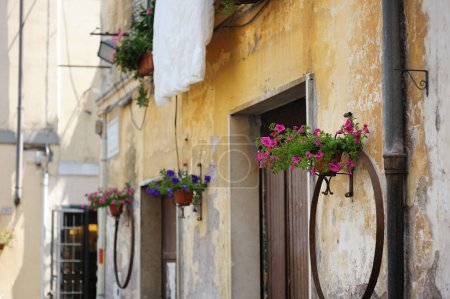 Photo for Flowers on narrow old streets of the famous Pitigliano town, located atop a volcanic tufa ridge. Beautiful italian towns and villages. Etruscan heritage, Grosseto, Tuscany, Italy. - Royalty Free Image
