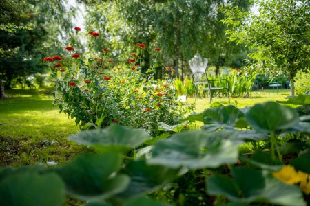 Foto de Hermoso jardín verde lleno de árboles ot, plantas decorativas y flores en flor. Hermoso día de verano en un patio trasero. - Imagen libre de derechos