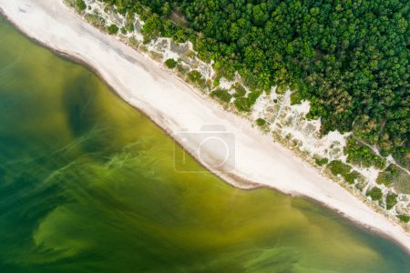 Foto de Vista aérea de la línea costera del Mar Báltico cerca de la ciudad de Klaipeda, Lituania. Hermosa costa del mar en el soleado día de verano. - Imagen libre de derechos